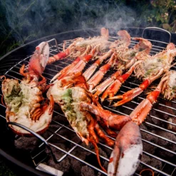 Kullgrill Freda -Møbler Salg 2024 440508 2