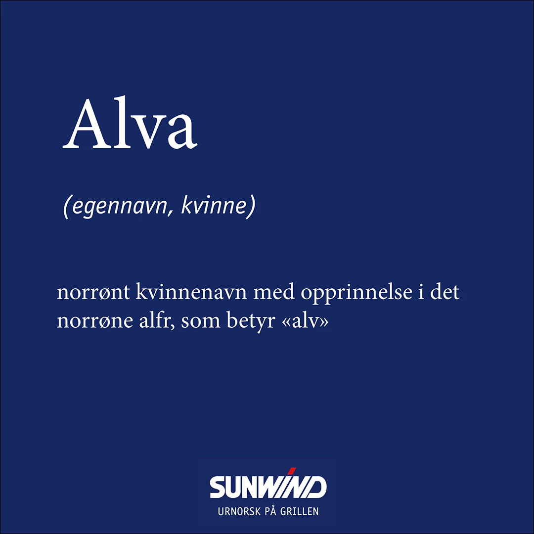 Kullgrill Portabel Alva 5 Kullgrill Portabel Alva - Bilde 4