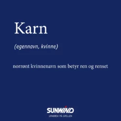 Gassgrill Karn -Møbler Salg 2024 440524 5