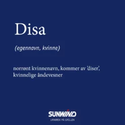 Gassgrill Disa 13 Gassgrill Disa -Møbler Salg 2024 440526 5