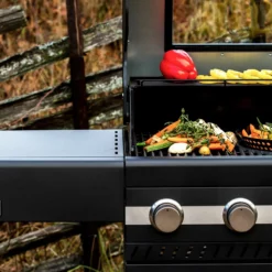 Gassgrill Fryd -Møbler Salg 2024 440528 2