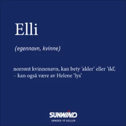 Elektrisk Grill Elli 13 Elektrisk Grill Elli -Møbler Salg 2024 440530 3